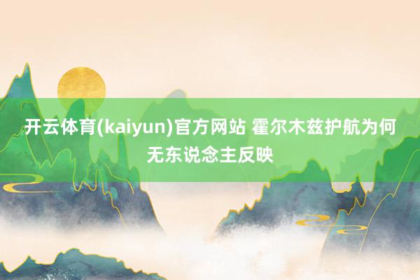 开云体育(kaiyun)官方网站 霍尔木兹护航为何无东说念主反映