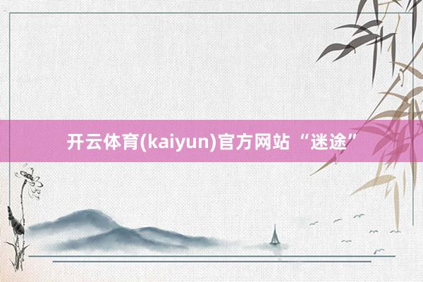 开云体育(kaiyun)官方网站 “迷途”