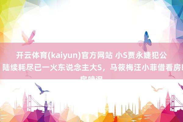 开云体育(kaiyun)官方网站 小S贾永婕犯公愤，陆续耗尽已一火东说念主大S，马筱梅汪小菲借看房暗讽