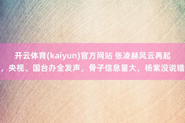 开云体育(kaiyun)官方网站 张凌赫风云再起，央视、国台办全发声，骨子信息量大，杨紫没说错