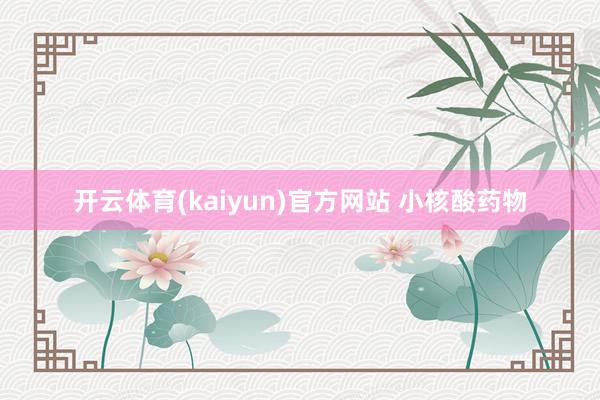 开云体育(kaiyun)官方网站 小核酸药物