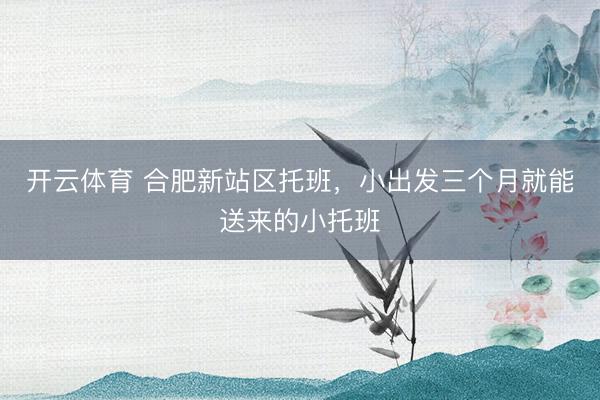 开云体育 合肥新站区托班，小出发三个月就能送来的小托班