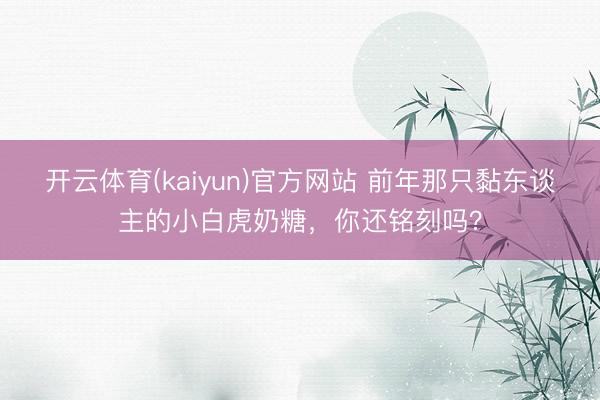 开云体育(kaiyun)官方网站 前年那只黏东谈主的小白虎奶糖，你还铭刻吗？