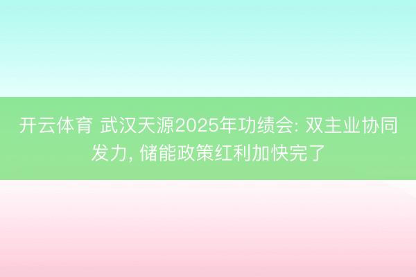 开云体育 武汉天源2025年功绩会: 双主业协同发力， 储能政策红利加快完了