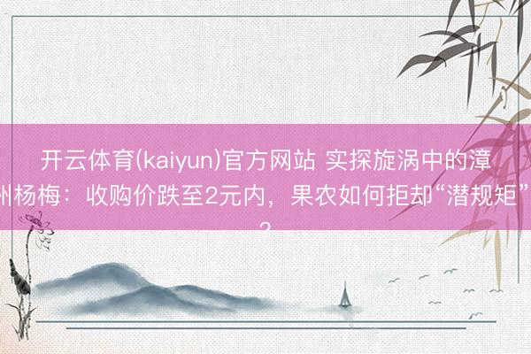 开云体育(kaiyun)官方网站 实探旋涡中的漳州杨梅：收购价跌至2元内，果农如何拒却“潜规矩”？
