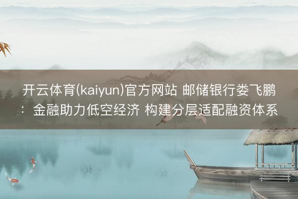 开云体育(kaiyun)官方网站 邮储银行娄飞鹏：金融助力低空经济 构建分层适配融资体系