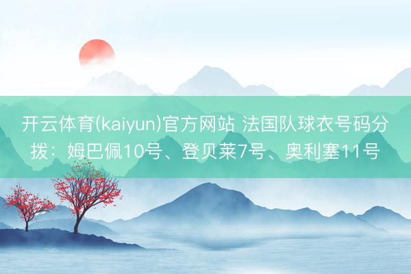 开云体育(kaiyun)官方网站 法国队球衣号码分拨:姆巴佩10号、登贝莱7号、奥利塞11号