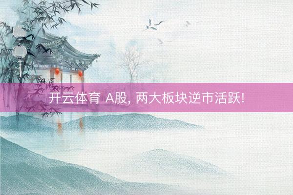 开云体育 A股， 两大板块逆市活跃!