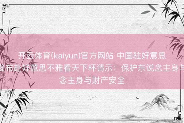 开云体育(kaiyun)官方网站 中国驻好意思国使领馆发布赴好意思不雅看天下杯请示：保护东说念主身与财产安全