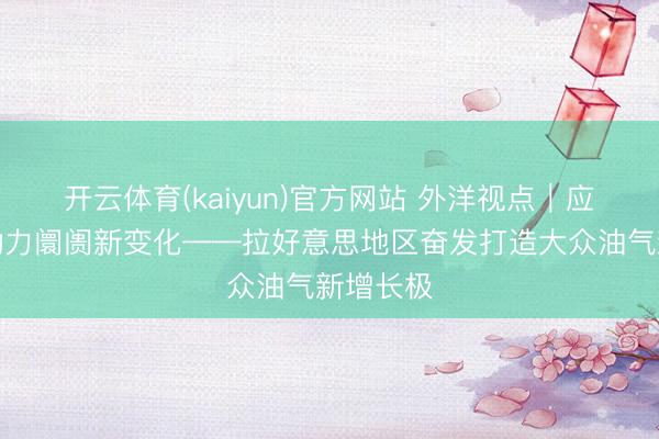 开云体育(kaiyun)官方网站 外洋视点｜应答外洋动力阛阓新变化——拉好意思地区奋发打造大众油气新增长极