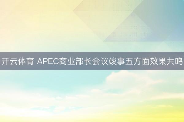 开云体育 APEC商业部长会议竣事五方面效果共鸣